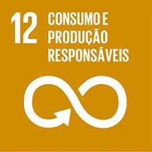 Consumo e produção responsáveis