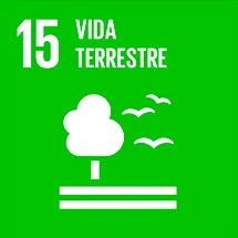 Vida Terrestre